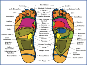 reflexologia