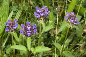 self heal